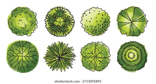 Tree Tops Water color Vector illustration