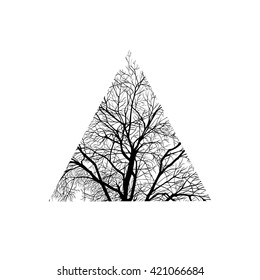 tree trimmed in a triangle