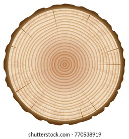 Tree Trunk Annual Rings Section Isolated on White Background. Wood Slice Design Element. Vector Illustration.