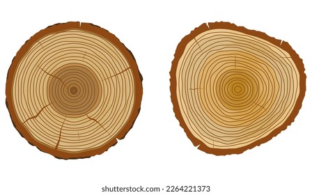 tree trunk annual rings or wooden texture vintage isolated - 3d illustration