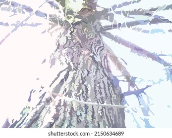 Tronco de árbol y cielo azul para decoración o fondo y texturas. Maletero popular, que sube a la luz del día para textiles o impresiones, carteles, papel pintado, productos de tela, soluciones interiores, cubiertas, etc.