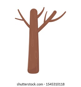 tree trunk branches botanical on white background vector illustration