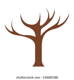 tree trunk with branchs without leaves closeup