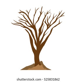 tree trunk with branchs without leaves