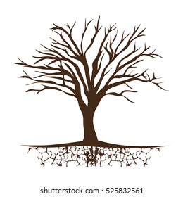 tree trunk with branchs without leaves