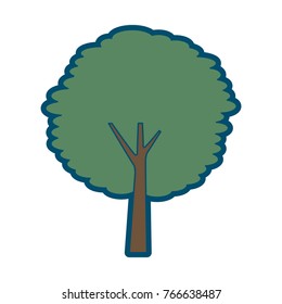 tree trunk bush nature forest ecology