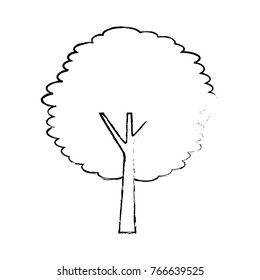 tree trunk bush nature forest ecology