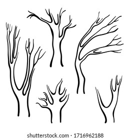 Tree trunk collection. Hand drawn black line sketch of common deciduous European trees isolated on white background. Vector illustration