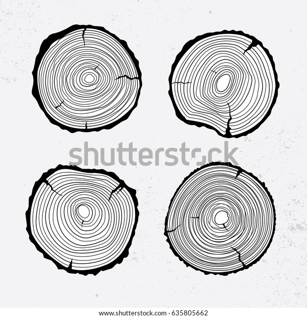 木の幹の断面 線のデザイン ベクターイラスト のベクター画像素材 ロイヤリティフリー