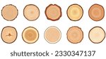 Tree trunk cross section set. Tree rings, tree trunk rings isolated, wood ring circle texture collection.