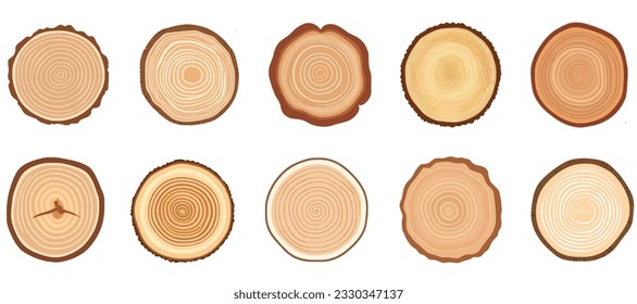 Tree trunk cross section set. Tree rings, tree trunk rings isolated, wood ring circle texture collection.