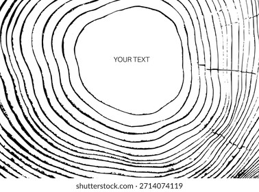 Sección transversal del tronco del árbol con anillos de madera y grano natural. Ilustración de tocón de corte circular, líneas radiales de crecimiento y textura orgánica. Patrón de fondo para diseño rústico, material de carpintería Vector.