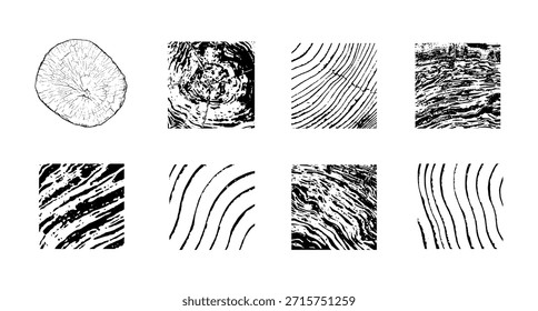 Sección transversal del tronco del árbol con anillos de madera y grano natural. Ilustración de tocón de corte circular, líneas radiales de crecimiento y textura orgánica. Patrón de fondo para diseño rústico, material de carpintería Vector.
