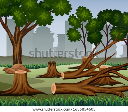 Tree trunk was cut with many trees on the forest background
