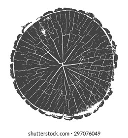 tree trunk. tree cut rings. vector