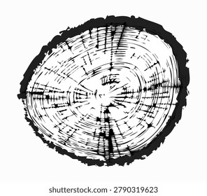 Tree trunk cut texture, wood slice annual rings vector pattern. Black oak log circular section isolated, grunge wooden rings illustration, stump surface on white background