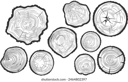 Tree trunk cuts with cracks, wood saw cuts set, timber texture, segment of tree growth rings, vector