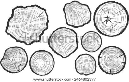 Tree trunk cuts with cracks, wood saw cuts set, timber texture, segment of tree growth rings, vector