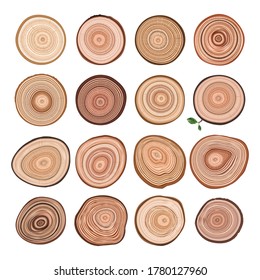 Tree Trunk Cuts with Larch Wood Cross Sections. Set of Stump Rings, Growth Ring Textures. Realistic 3d Vector Illustration in Cartoon Style