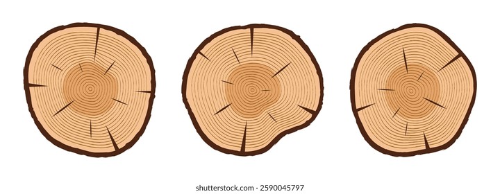 Tree trunk cuts with tree rings. Sliced tree trunks set. Hand drawn colored wooden texture. Vector illustration.