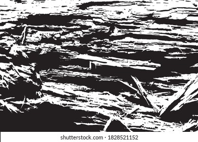 Tree trunk grain wood grain texture mottled abstract vector black and white monochrome material background forest situation tree trunk tree root sky up shot