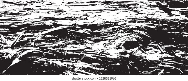 Arbol grano de madera textura de grano de madera moteada vector abstracto negro y blanco material monocromo fondo situación del bosque árbol raíz del árbol del tronco cielo arriba