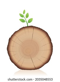 Tree trunk with green sprout - wood slice with young sprig - symbol for comeback, restart, relaunch, triumph, winning, self assertion, beginning.  Vector illustration on white background. 
