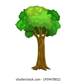 Tree with trunk and leaves vector illustration.