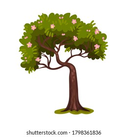 Tree with Trunk and Lush Crown or Foliage as Forest Element Vector Illustration