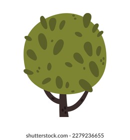 Tree with Trunk and Lush Green Crown Growing in Park or Woodland Vector Illustration