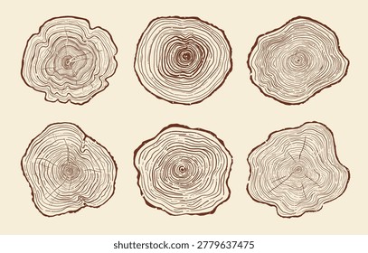 Tree trunk ring set. Luxury wood grain backgrounds. Hand drawn tree ring pattern abstract line art. Concentric circle patterns, organic stump, tree trunk in section textures. Templates stamps posters