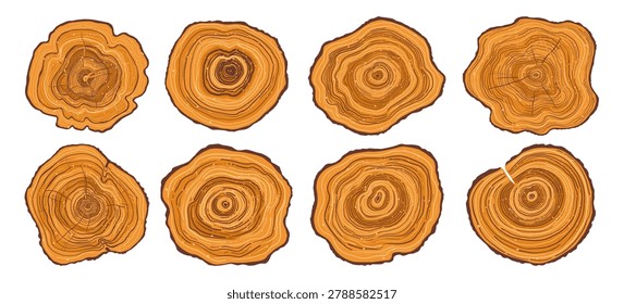Tree trunk ring vector set. Luxury wood backgrounds. Hand drawn tree ring pattern abstract art. Concentric circle patterns organic stump, tree trunk in section textures. Templates posters illustration