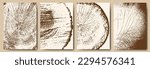 Tree trunk rings. A collection of tree cross-sections. Vector illustration.