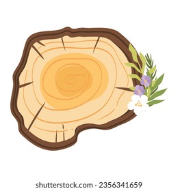 Tree trunk rings cut isolated close up vector cartoon illustration set, brown colorful wooden stump slice.