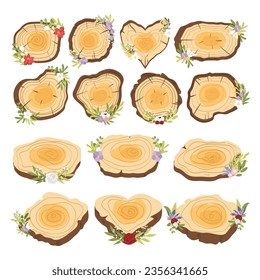 Tree trunk rings cut isolated close up vector cartoon illustration set, brown colorful wooden stump slice.