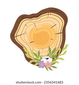 Tree trunk rings cut isolated close up vector cartoon illustration set, brown colorful wooden stump slice.