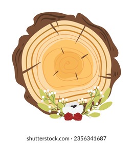 Tree trunk rings cut isolated close up vector cartoon illustration set, brown colorful wooden stump slice.