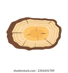 Anillos de tronco de árbol cortados aislados cerca del conjunto de ilustraciones de dibujos vectoriales, rodaja de madera marrón colorida.