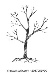 Tree trunk silhouette. Wood branch icon. Forest symbol. Vector illustration image.