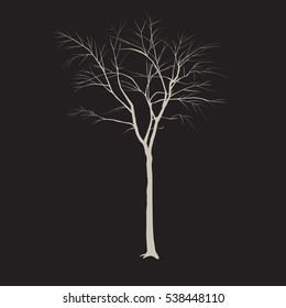 The tree trunk without leaves on a black background