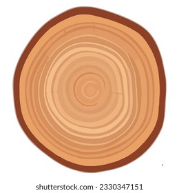 Tree trunk wood ring. Tree trunk cross section. wood slice cut isolated on white background.