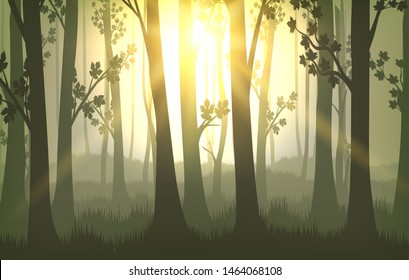 Tree trunks background. Sunset in forest, vector nature serene national park landscape, summer wildlife natural land travel image with sunlight and tree