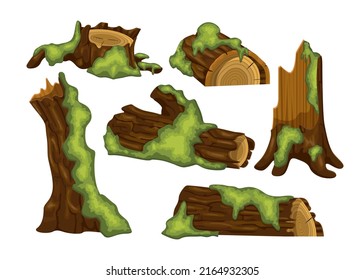 Tree trunks, logs and stumps with moss vector illustrations set. Collection of isometric cartoon drawings of parts of trees with moss in jungle or swamp isolated on white background. Nature concept