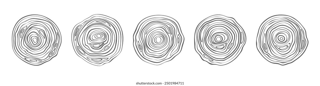 Baumstämme rund um Abschnitte. Kreisförmige Holzringe, topographische Kartenlinien, Konturtextur, Stümpfe mit Jahresringen, Draufsicht rund Scheibe, Konstruktionslogotype Design, aufgeräumter Vektor einzeln Set