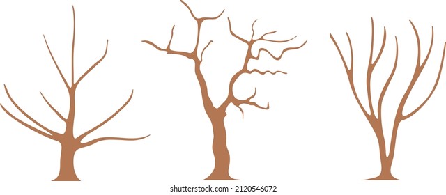 Troncos de árbol sin follaje, ramas curvadas de color marrón, ilustración de dibujos animados de vector plano. Plantilla para crear soluciones de diseño de verano paisajístico.