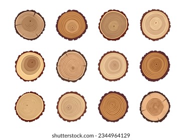 Tree trunks and wood cut stumps with texture of circles or annual growth rings pattern, vector wooden slices. Timber log or tree trunk cuts with age circles, forest lumber sections or round stumps