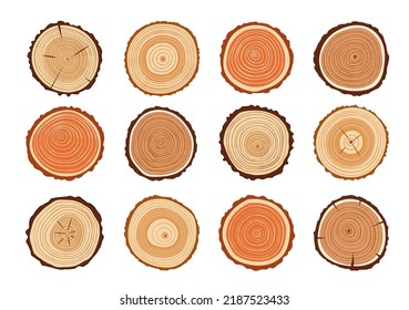 Tree trunks, wood cut with vector texture of annual rings. Cross section slices of wooden stump or log with brown bark, medullary rays and growth rings, timber, wood or lumber industry themes