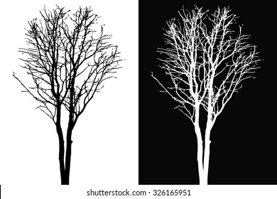 Tree twig silhouette vector