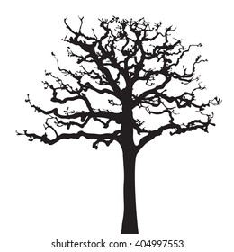 Tree twig silhouette vector
