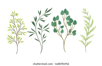 Tejidos de árbol y ramas con conjunto de vectores de hojas verdes